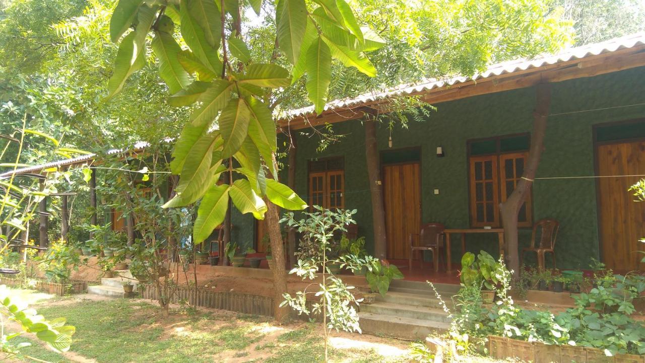 Araliya Self Cooking Resort Dambulla Exterior foto